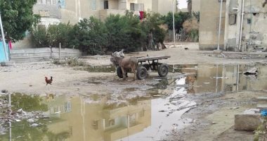 بالصور.. مجاورة "الكرهاوس" بالعشر من رمضان تتحول لعشوائيات