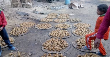بالصور.. تعرف على مراحل "تصنيع الجلاب" أشهر حلوى صعيدى فى قنا
