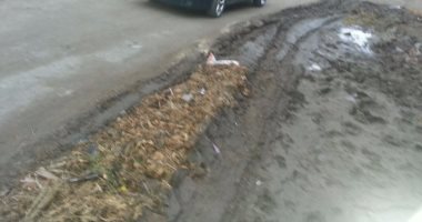 أهالى كوم أبو راضى فى الشرقية يطالبون برصف الطرق
