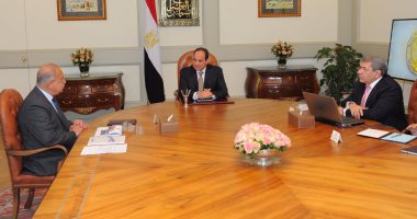 وزير المالية للسيسي: إعادة تقييم سعر صرف الدولار الجمركى بصفة نصف شهرية