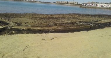 تطهير شاطئ بور توفيق بالسويس من بقعة التلوث الزيتى
