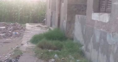 بالصور.. تهالك الوحدة الصحية بقرية "ميت حبيش" فى الغربية