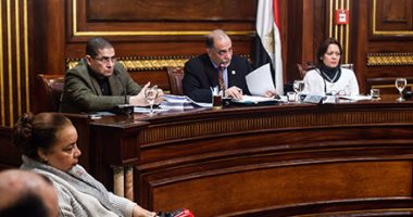  لجنتا القوى العاملة والتضامن بالبرلمان تبدآن البحث عن "أموال المعاشات"