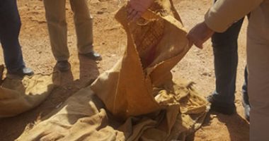 بالصور.. الرقابة الإدارية بالوادى الجديد تكشف مخالفات جسيمة بشون القمح