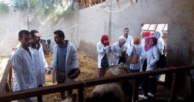 قوافل بيطرية للكشف الطبى على المواشى والطيور فى سوهاج