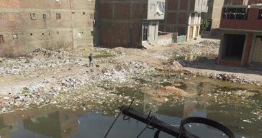 برك مياه المجارى تحاصر أهالى شارع المدينة المنورة بالمرج الجديدة