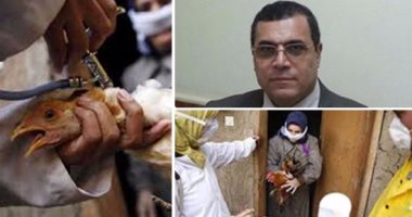 أنفلونزا الطيور تعود من جديد.. وفاة أول حالة مصابة بالفيروس فى 2017 بالفيوم.. الصحة: سحب عينات دم من أسرة المتوفى لتحليلها.. شقيقه: الأطباء أكدوا إصابته بمرض رئوى.. والمحافظ: طالبت الطب البيطرى بتقرير عاجل 
