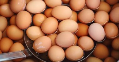 وزير بلجيكى ينتقد هولندا على تأخير إرسال معلومات عن تلوث البيض