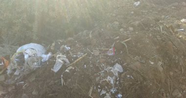بالصور.. مواطن يشون مخلفات تضر البيئة ويتسبب فى غلق الطريق العام بسوهاج