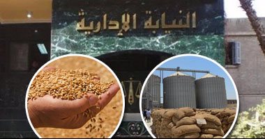 مصادر: انتهاء التحقيقات فى "فساد القمح" وإعلان النتائج خلال أيام