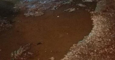 بالصور.. مياه الصرف الصحى تغرق شارع سنترال صفط اللبن فى الجيزة