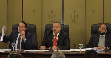 "صحة البرلمان": اللجنة أوصت بضرورة إعادة هيكلة شركات قطاع الأعمال للأدوية