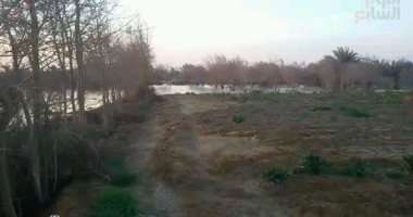 بالصور.. بوار وغرق 50 فدانًا بمياه الصرف الصحى فى بنى سويف