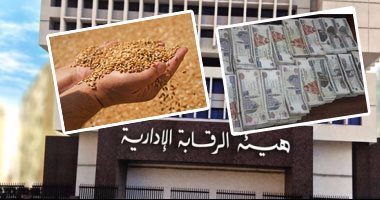 الرقابة الإدارية ترسل 3 قضايا فساد لـ"الكسب غير المشروع".. والجهاز يشكل لجانًا لفحص ثروة المتهمين بقضايا تهريب الأدوية المدعومة ومخالفات القمح وجمرك سفاجا.. ومصادر: 100 مليون جنيه حصيلة الفساد