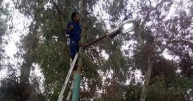 بالصور .. تمهيد وإنارة وتسوية الطرق بمدينة طوخ