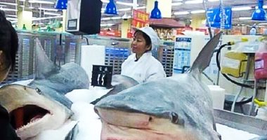 تعرف على أغرب 8 عادات فى الصين.. الأوز بديلاً للكلاب البوليسية أغربها