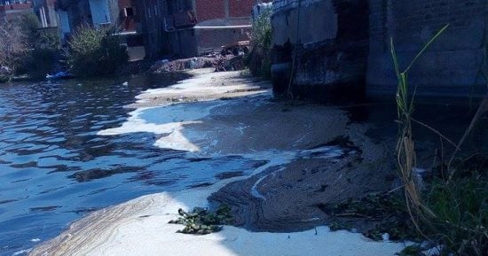 بالصور.. تلوث مياه النيل فى المحمودية بسبب مخلفات المصانع