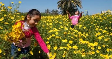 لعشاق فصل الصيف.. انتهاء الأجواء الباردة بعد 3 أسابيع.. الربيع يبدأ الاثنين 20 مارس.. طوله 92 يوما و17 ساعة و 13 دقيقة.. الأرصاد: معروف عنه المنخفضات الخماسينية والرياح والأتربة.. وهذا موعد بداية فصل الصيف