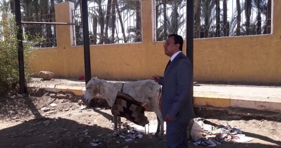 بالصور.. النيابة الإدارية تعثر على كلاب وحمار وبيوت ثعابين بمستشفى فى سوهاج