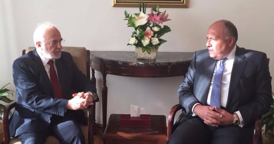 سامح شكرى: مصر حريصة على تقديم الدعم للعراق للمحافظة على وحدته وسيادته