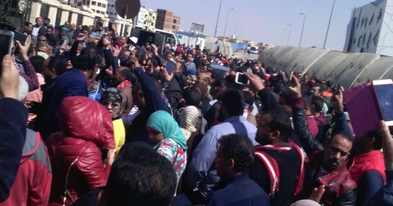 الأموال العامة تكثف الجهود لضبط "مستريح الارانب" بعد جمعه ربع مليار جنيه 