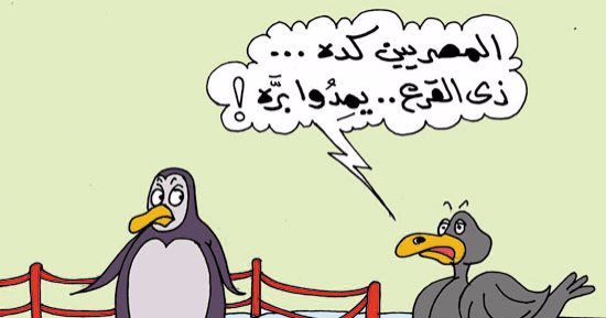 البط المصرى ينافس البطريق فى التزلج على الجليد.. فى كاريكاتير اليوم السابع