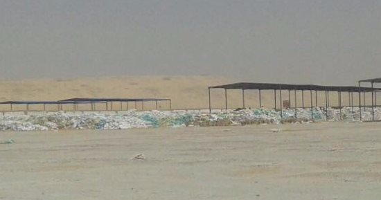 التموين: استلام 150 طن قمح من المزارعين فى أول أيام التوريد