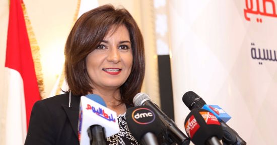 وزارة الهجرة: "الإنتاج الحربى" استفادت بخبرات علماء مصر فى مجال الطاقة الشمسية