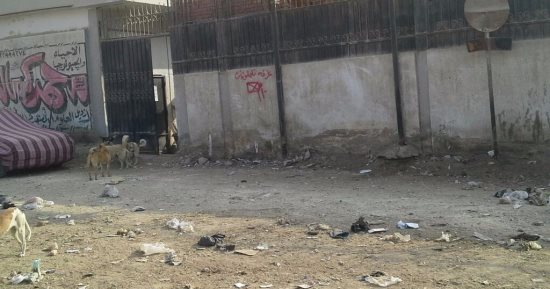شكوى من تراكم القمامة أمام سنترال فى بولاق الدكرور