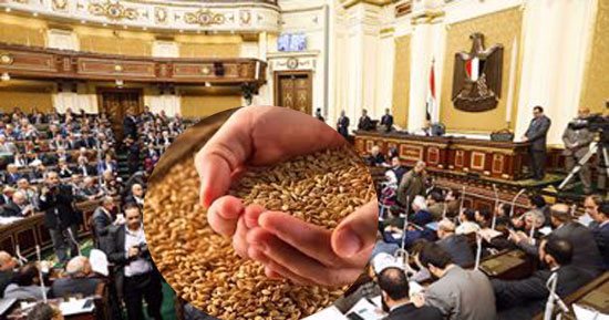 القمح يعود من جديد لمائدة البرلمان.. "لجنة الزراعة" تطالب الحكومة بسرعة الانتهاء من تجهيز الشون قبل 15 أبريل.. واستدعاء الوزراء المعنيين وحصر مراكز الاستلام فى كل محافظة