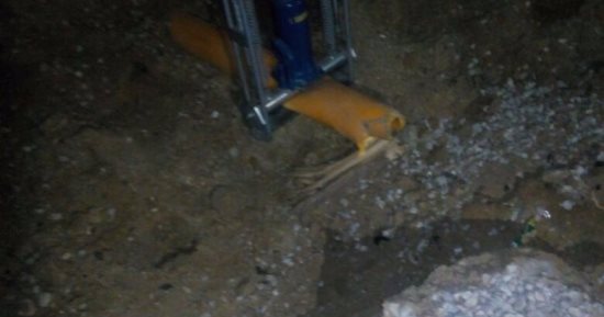 النجدة تتلقى بلاغا بوجود تسريب غاز بقرية فى طنطا.. وغلق المحبس الرئيسى.. تحديث