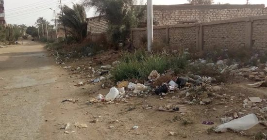 بالفيديو والصور.. أهالى حى الزراعيين بالخارجة يشكون من الإهمال ونقص الخدمات