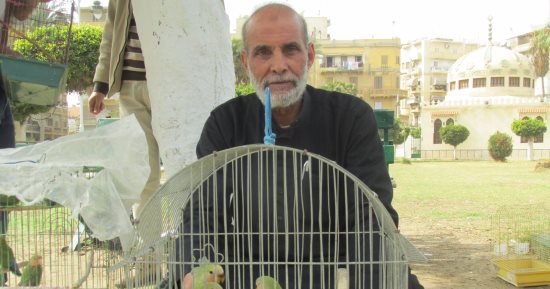 بالصور.. قصة نجاح 100 شاب من هواة العصافير فى بورسعيد