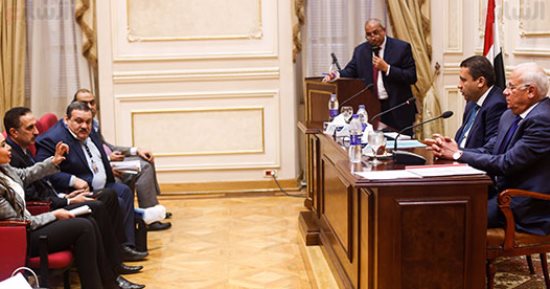 "مشروعات البرلمان": الصعيد بحاجة لمزيد من المشاريع