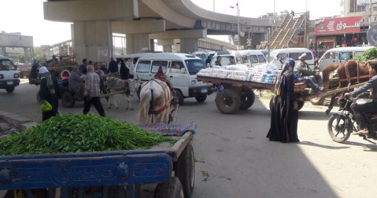 شكوى من الباعة الجائلين أسفل كوبرى الرياح التوفيقى ببنها