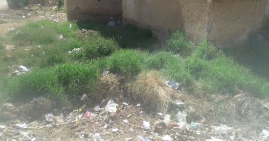 بالصور.. مياه الصرف تهدد سكان حى الجناين بمدينة الداخلة