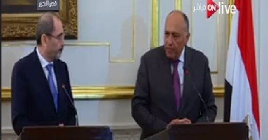 سامح شكرى: نتمنى نجاح المباحثات السياسية لحل أزمة سوريا وحفظ عروبتها