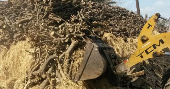 بالصور.. حملة مكبرة لإزالة مكامير الفحم بالقليوبية