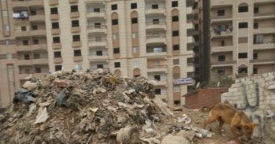 بالصور..قارئ يشكو من تراكم القمامة وعدم رصف الطريق بالنزهة الجديدة