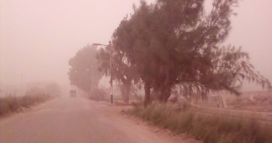 بالصور.. طقس سيئ وعاصفة ترابية تضرب المنيا