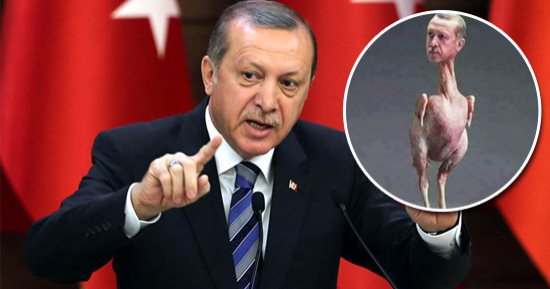أردوغان ينطح رأسه فى مرآة أوروبا.. ألمانيا تحظر توريد السلاح لـ"أنقرة".. والنرويج تفتح أبوابها للجنرالات الأتراك طالبى اللجوء.. والرئيس التركى يواصل التصعيد ويتهم القارة العجوز بتبنى "عقلية نازية"