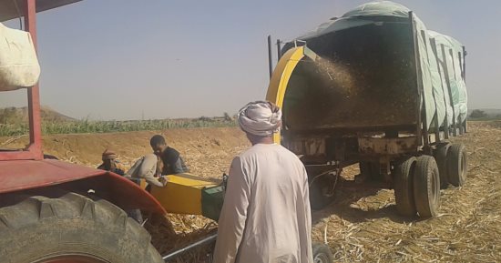 "الفرم".. خطة "البيئة" للتخلص من مخلفات القصب فى الأقصر للحد من حرقها