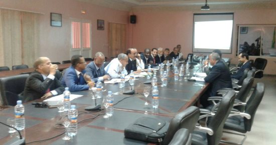 وفد مصرى برئاسة وزير الزراعة يبحث تأسيس قطيع جاموسى فى موريتانيا