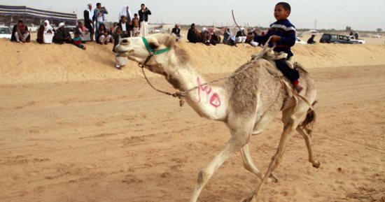 انطلاق مهرجان الإسماعيلية الدولى الـ16 لسباق الهجن