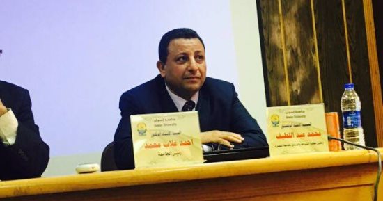تعرف على دور جزيرة إلفنتين بأسوان فى الحضارة الإسلامية بمصر