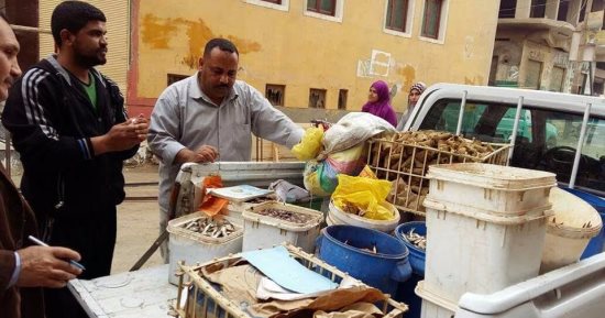 ضبط كمية من المواد الغذائية الفاسدة بسوق أهناسيا غرب بنى سويف 