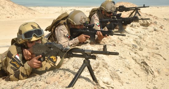 بالصور.. القوات المشاركة فى "زايد 2" تنفذ طلعات جوية وتشكيلات إبحار نهاراً وليلاً