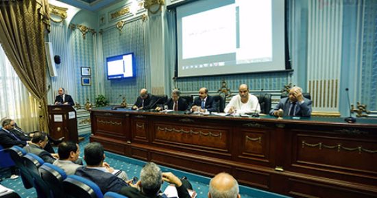 بالصور.. نواب يكشفون: نباتات مصرية سرقتها بعض الدول.. منها القطن والملوخية