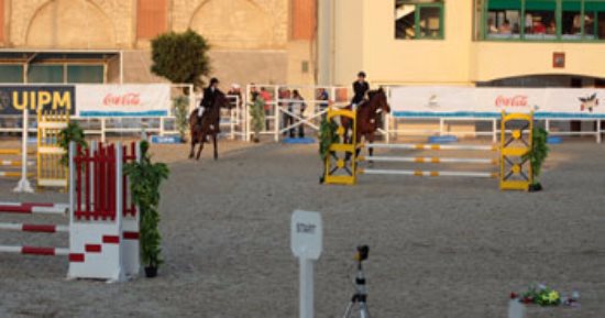 السعودية.. أمر ملكي بتعيين بندر بن خالد الفيصل رئيساً لمجلس إدارة هيئة الفروسية