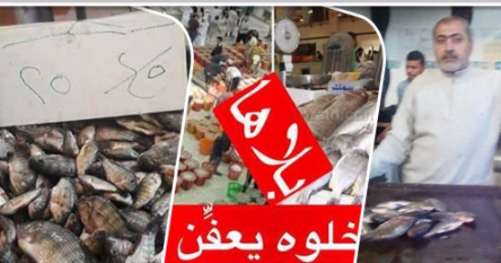 "بلاها سمك".. المحافظات تدشن حملات لمقاطعة الأسماك لخفض أسعارها..  تراجع الأسعار بعد 48 ساعة من الحملة بدمياط.. الباعة: احنا اللى اتظلمنا وتجار الجملة هم المستفيدون.. ومحافظ السويس يصدر قرارات لإنهاء الأزمة